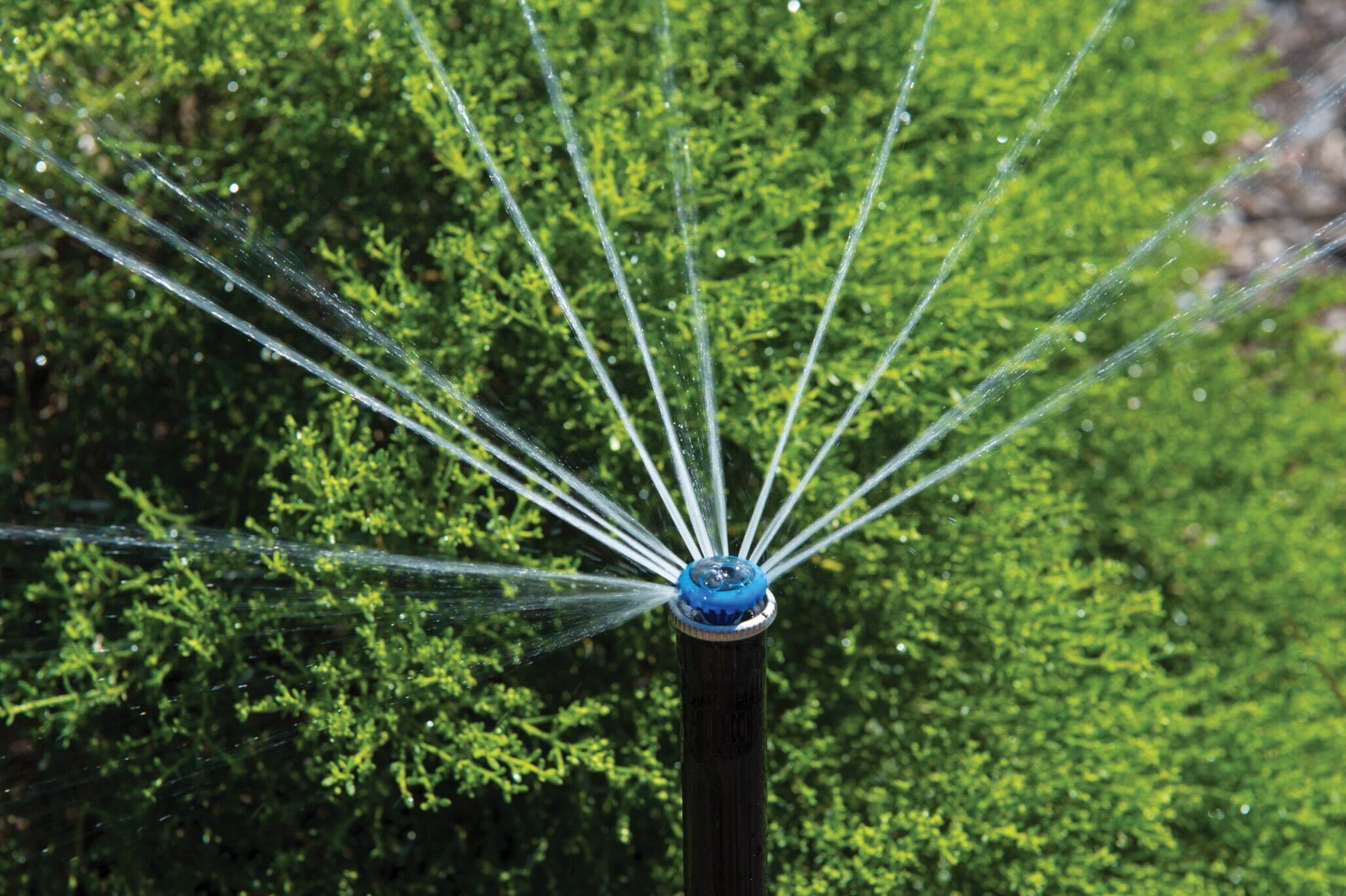 Gallery Image : Mainline Sprinkler Solutions